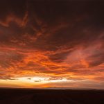 Sky on fire! Probably the most dramatic of the many spectacular sunsets we saw on the Mara (image by Mike Watson)