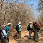 Wild Images group in action at Kirindy Forest (image by Mike Watson)