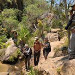 Wild Images group at Isalo National Park (image by Mike Watson)