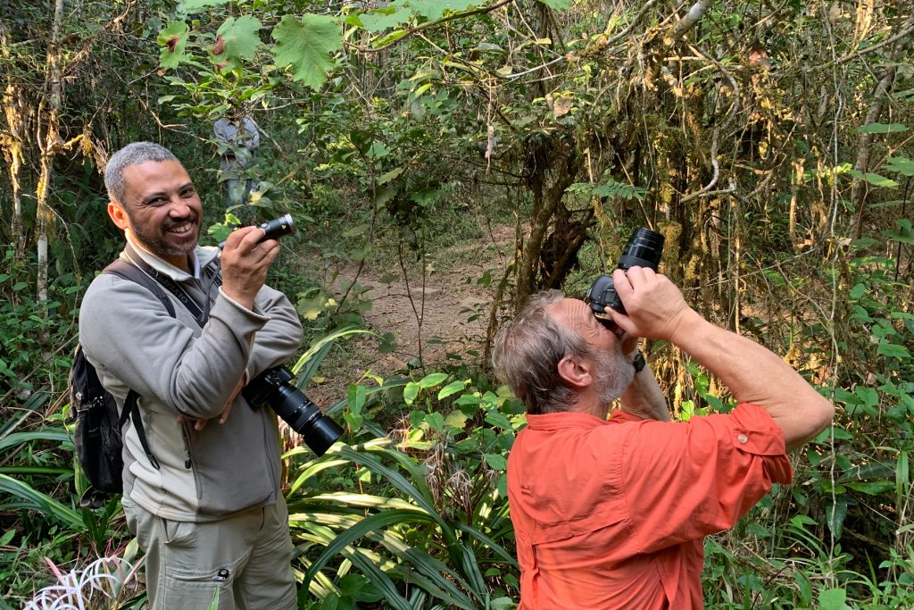 Fabrice adds a little light to the scene of some leaf-tailed gecko photography at V.O.I.M.M.A., Andasibe (image by Mike Watson)