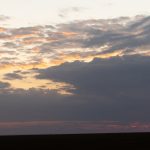 The Mara has at least one million lone trees suitable for sunsets (image by Mike Watson)