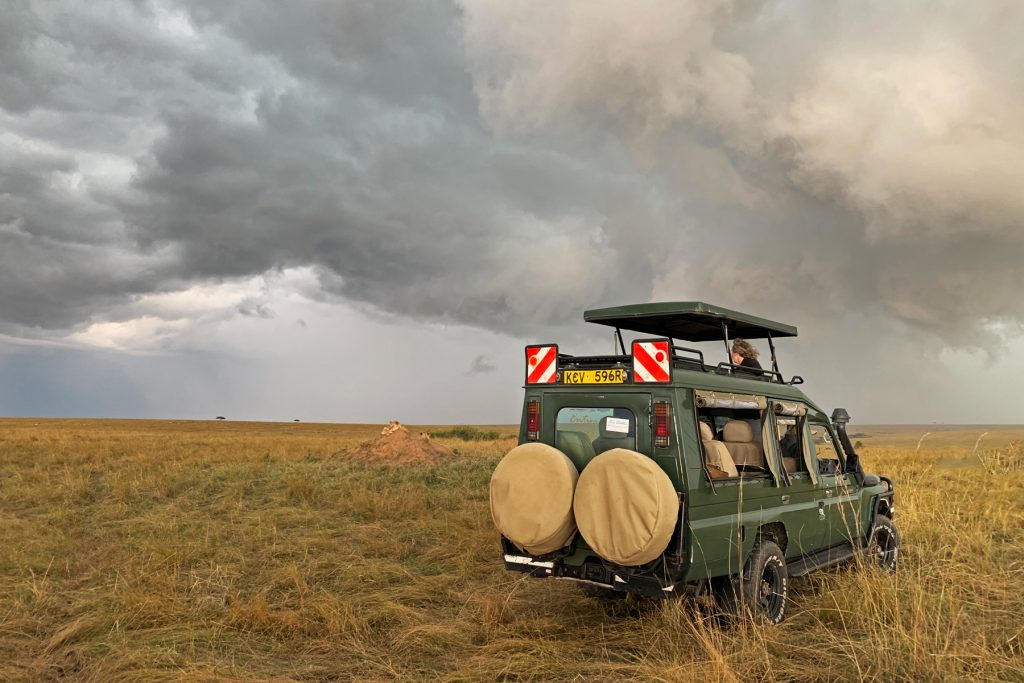 Watching Lions, watching another storm approaching (image by Mike Watson)