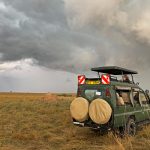 Watching Lions, watching another storm approaching (image by Mike Watson)