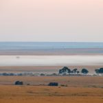 Misty Mara. Early in the morning before the balloons had taken flight (image by Mike Watson)