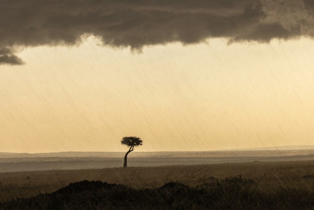 Feeling the full force of a storm on the Maasai Mara (image by Mike Watson)