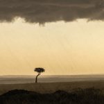 Feeling the full force of a storm on the Maasai Mara (image by Mike Watson)