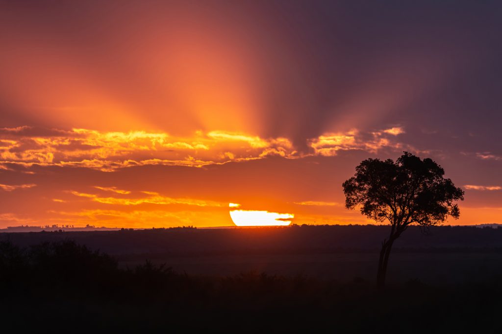 Maasai Mara sunset (image by Mike Watson)