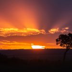Maasai Mara sunset (image by Mike Watson)