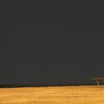 Dark skies and sunlight on the Mara (image by Mike Watson)