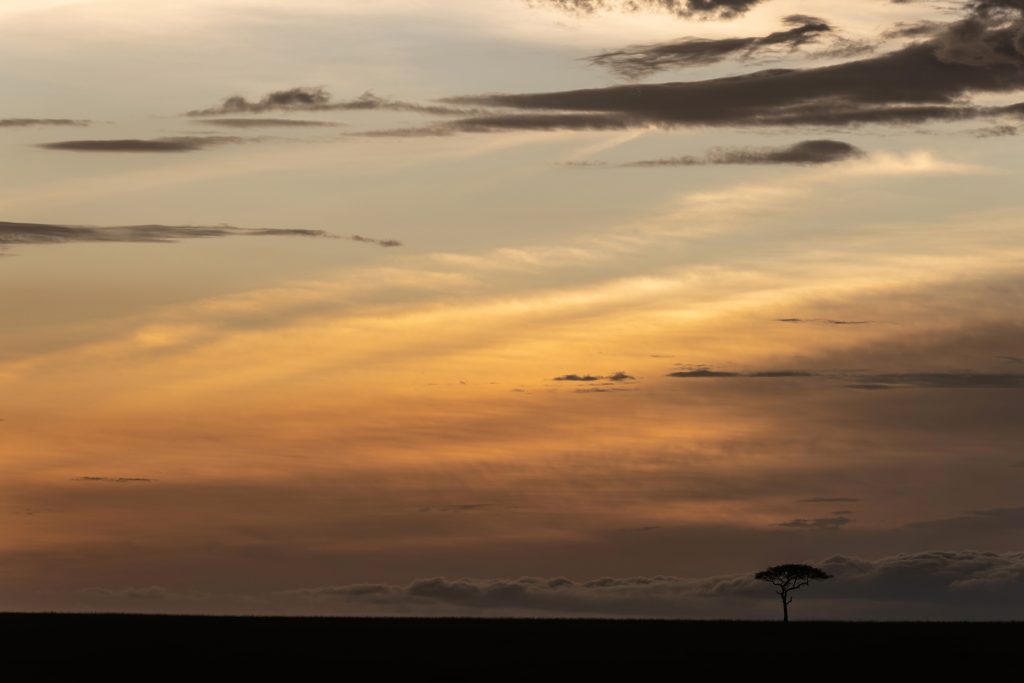 A beautiful soft sunset on the Mara (image by Mike Watson)