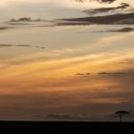 A beautiful soft sunset on the Mara (image by Mike Watson)