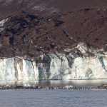 Hundreds of King Penguins line the shore beneath the glacier edge of St Andrews in South Georgia (image by Inger Vandyke)