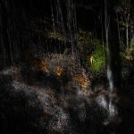 Capturing the details of waterfalls in Tierra Del Fuego (image by Inger Vandyke)