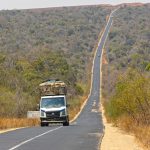 The National Park forest strip at Zombitse only covers 16,845 hectares and holds an endemic bird and a lemur! (image by Mike Watson)