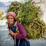 Locals are working hard to prepare and store the harvest for the coming winter months (image by Julie-Anne Davies)