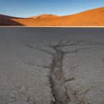 Clay 'trees' in the pan of Deadvlei. After rains hit this iconic pan, the path of water is marked in it forever (image by Sean Braine)