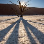 Sunrise photography in the iconic Deadvlei is a great place to practice sun bursts and experiment with light and shadows in photography (image by Sean Braine)