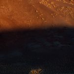 Singular. Stunning. A lone tree sits at the base of the gargantuan sand dune system in Sossusvlei (image by Sean Braine)