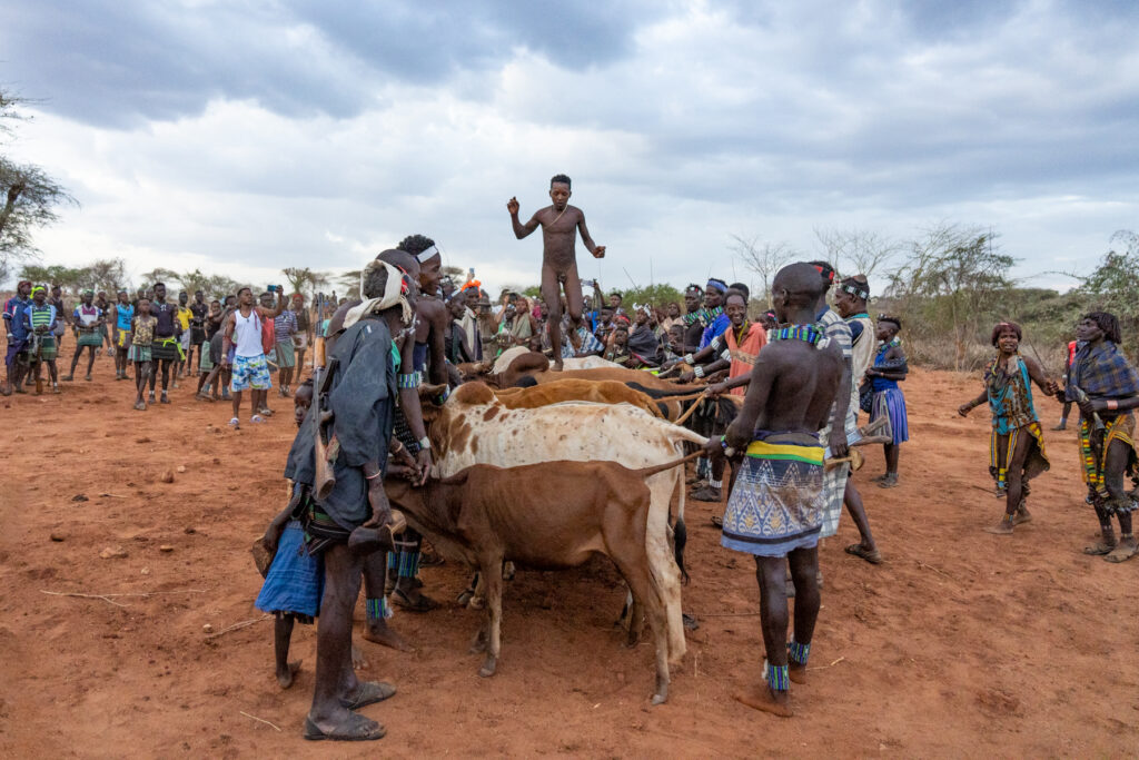 An essential rite of passage for young boys in Hamer culture, the bull jumping ceremony is vital to young Hamer boys becoming men (image by Inger Vandyke)
