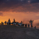 A Karo family herding their goats and sheep at sunrise near the Omo River (image by Inger Vandyke)