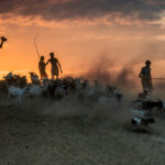 A prominent Karo family herding their livestock in the dust and storm clouds of sunrise (image by Inger Vandyke)