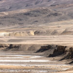  A Pallas’s Cat dwarfed by the vast landscape of the Tibetan Plateau (image by Mike Watson)
