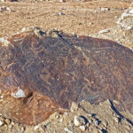  Petroglyphs near Leh (image by Mike Watson)
