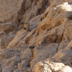 The cat makes its way up the cliff behind the tiny hamlet of Kungyamdo (image by Mike Watson)