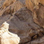  Snow Leopard. Ever wondered how many have seen you without you being seen themselves? (image by Mike Watson)