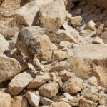  The Snow Leopard bounds over the boulders effortlessly (image by Mike Watson)