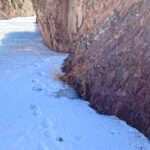  Snow Leopard tracks along a frozen river (image by Mike Watson)