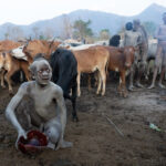 A young Suri boy with his breakfast of fresh cow's blood. This is an important source of protein for young Suri people (image by Inger Vandyke)