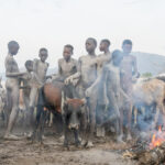 Ash covered Suri boys preparing to take their cows out to graze for the day. The ash protects them from sun and biting insects (image by Inger Vandyke)