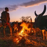 Sunrise in a remote Suri cattle camp (image by Inger Vandyke)