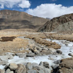 Ground Tit habitat, Tanglang La (image by Mike Watson)