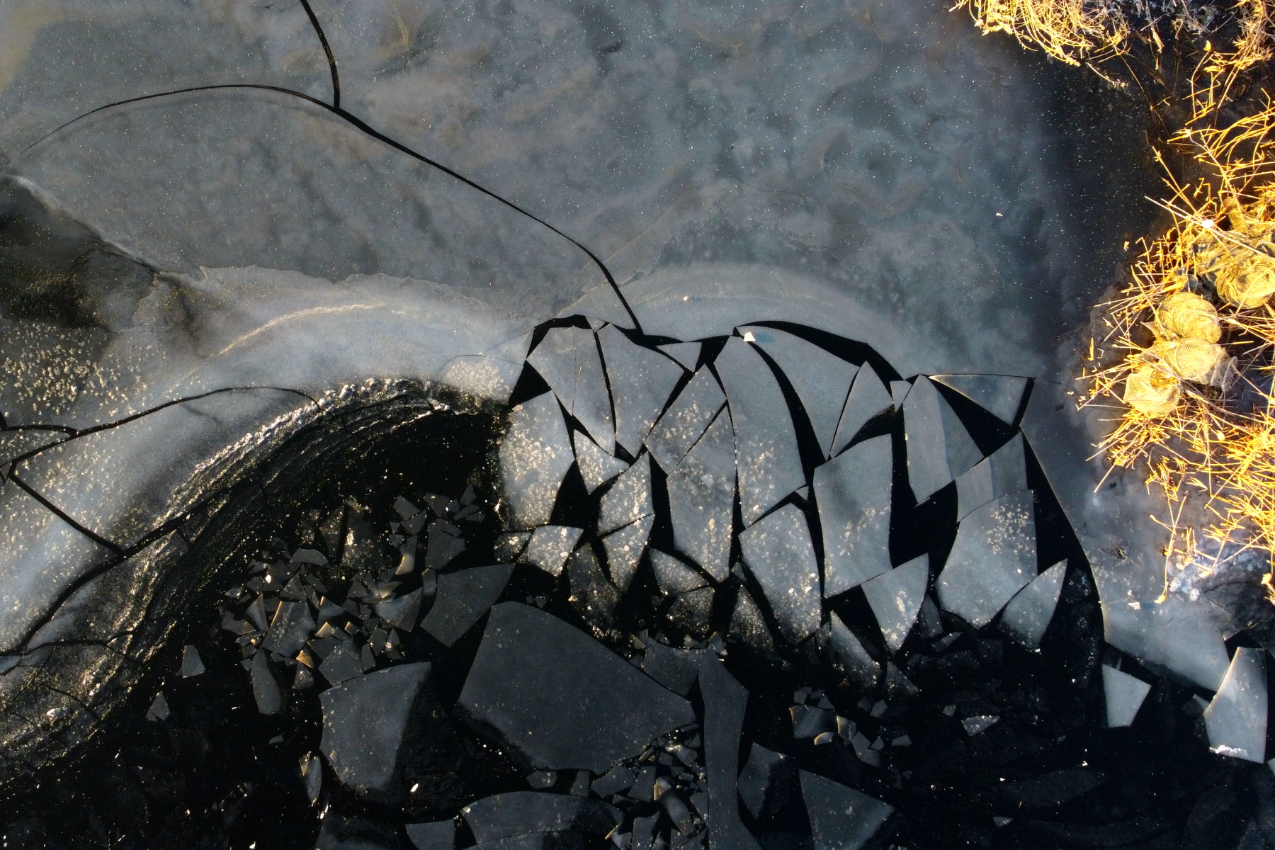 Fishing nets break up the ice of the Danube Delta in winter (image by János Oláh)