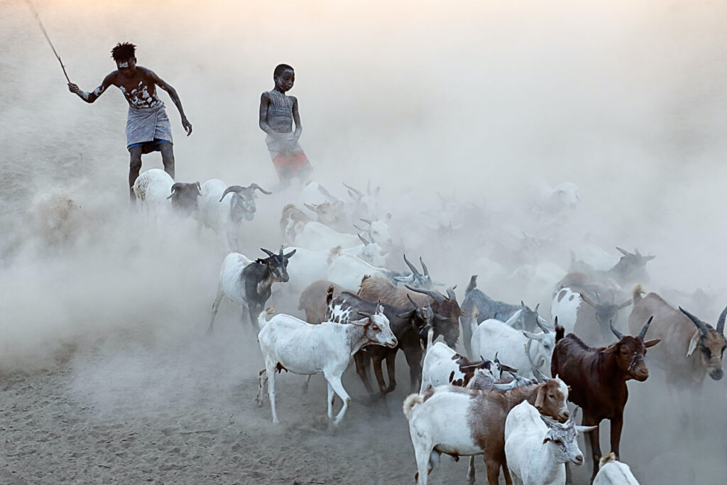Herding goats and sheep in the dust of the Karo area (image by Stuart Hahn). Why Wild Images loves this - As the sun rose higher in the Karo area, the light enhanced the dry and dusty conditions we encountered with a local family herding their flock. The end result was images like this where both animals and people emerged from clouds of dust like ghosts. This photo really encapsulated the incredible atmosphere we experienced that morning.