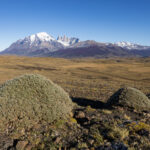 The beautiful landscape where we search for pumas in Patagonia (image by Bernd Rohrschneider)