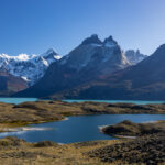 Some guanacos are grazing in the spectacular landscape of Torres del Paine National Park (image by Bernd Rohrschneider)