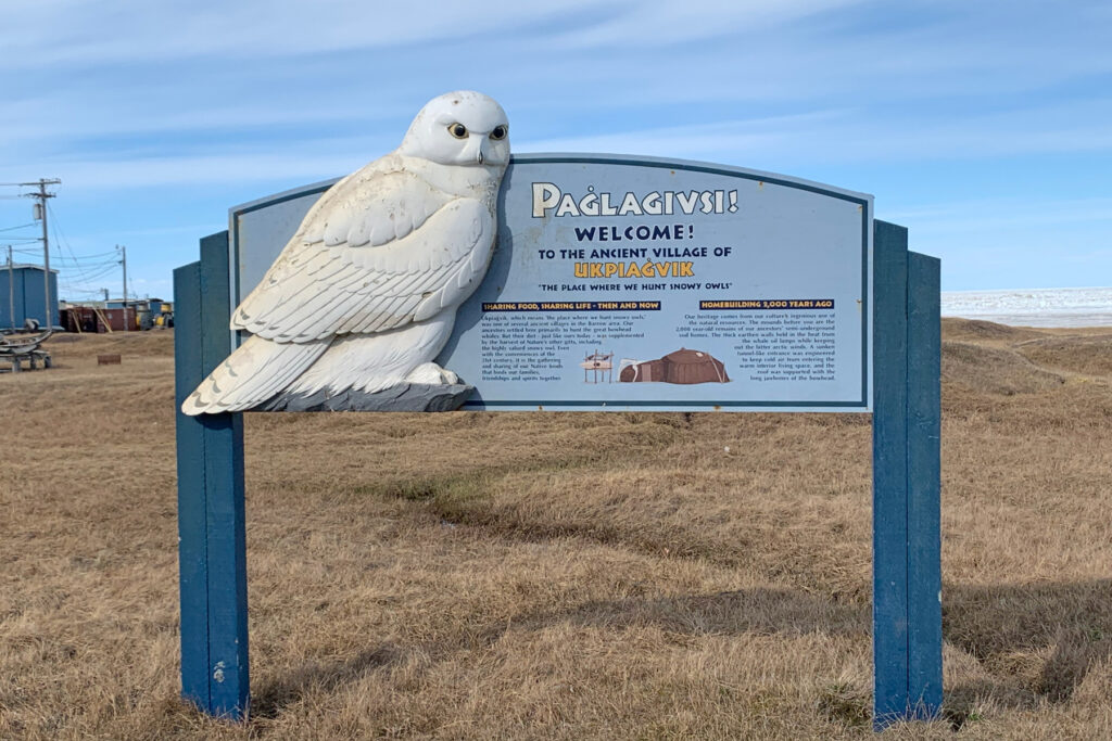 Utqiagvik, ‘The place where we hunt Snowy Owls’ (Image by Mike Watson)