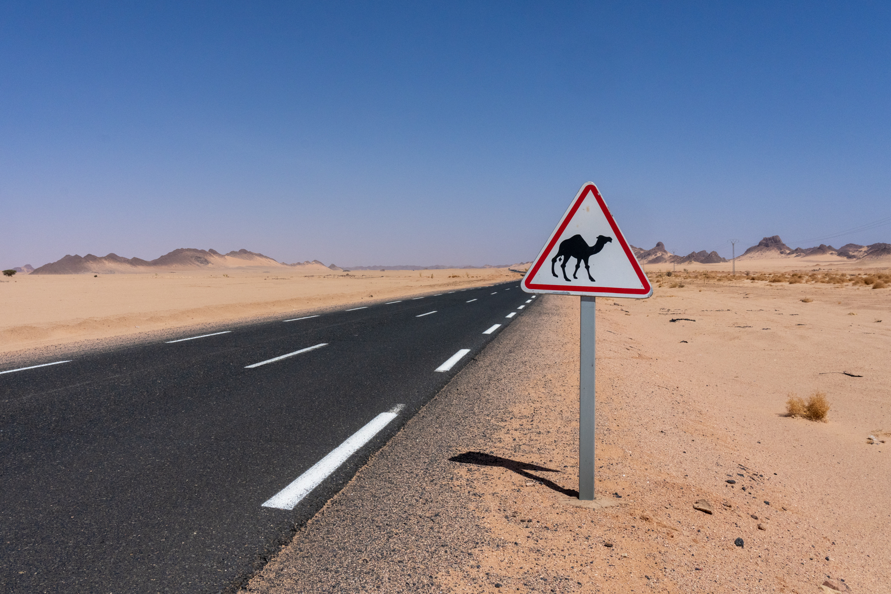 Beware of Camels sign on the road that links Algeria to Niger and Libya (image by Inger Vandyke)