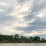 Big River! The impressive Rio Cuiabá (image by Mike Watson)