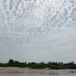 Altocumulus is not quite a mackerel sky, more like a carp (image by Mike Watson)