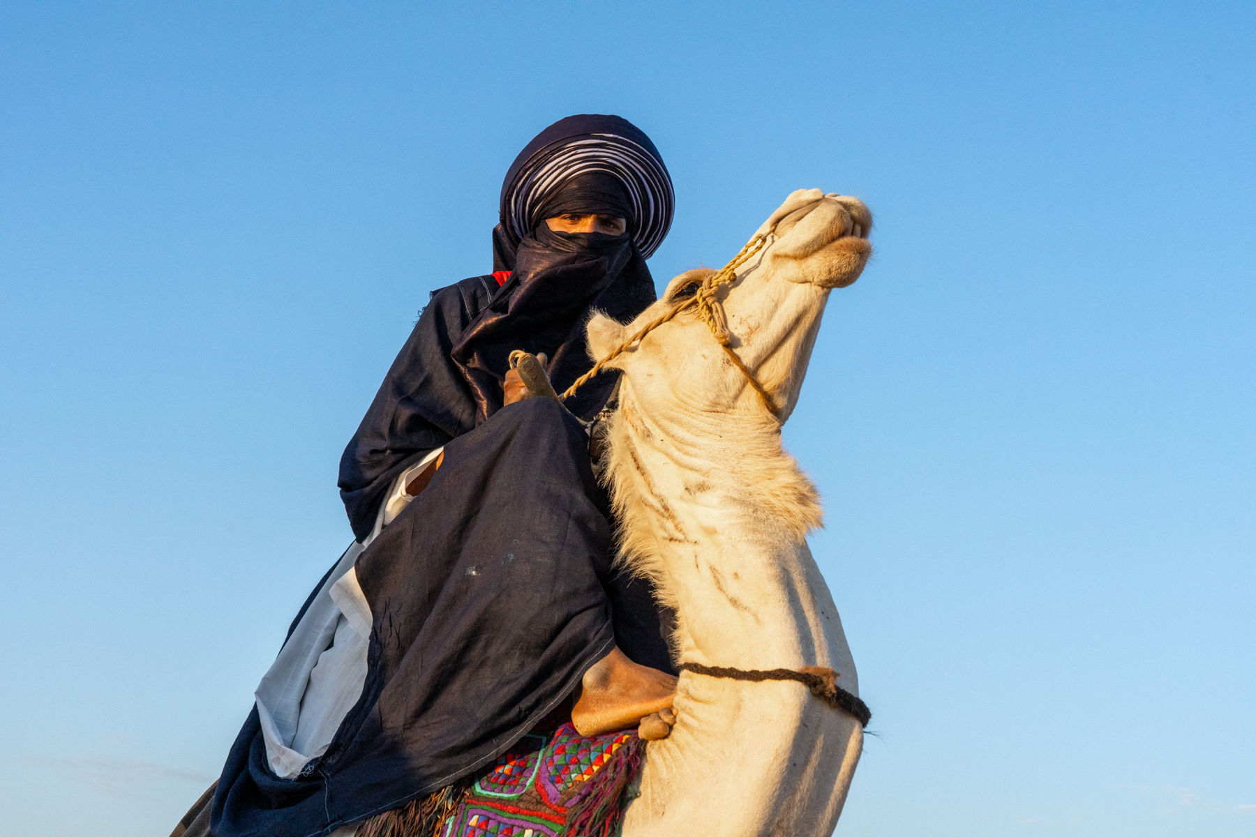 Portrait of a Tuareg camel dancer (image by Inger Vandyke)