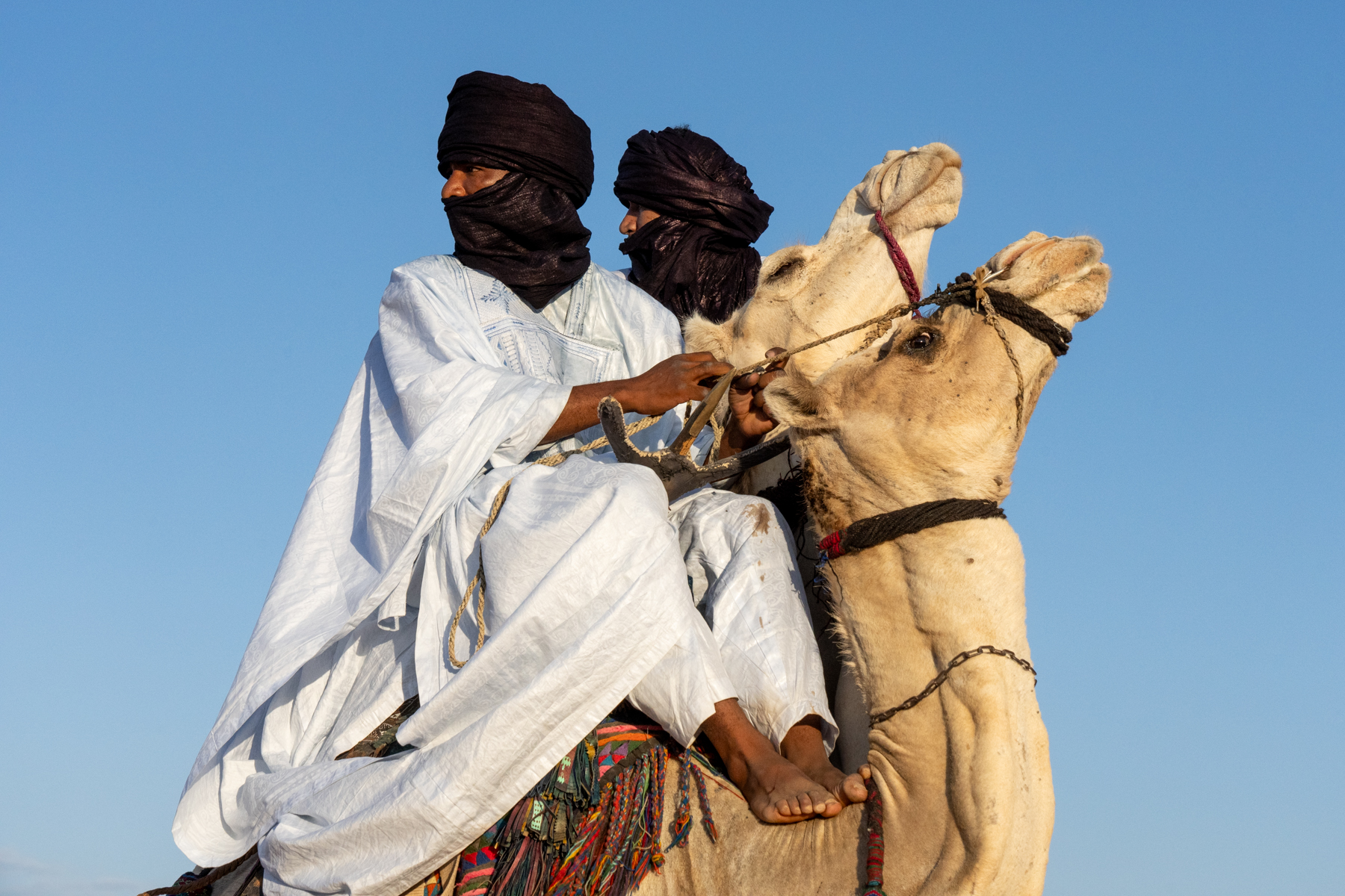 Tuareg men use their bare feet to steer their camels (image by Inger Vandyke)