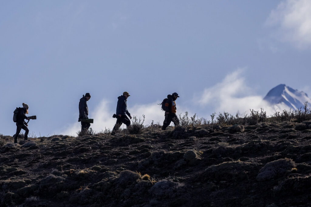 Some of the group head up over a ridge on the trail of a puma (image by Martin Robinson)