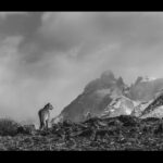 Surveying her mountainous home: this is Patagonia's Realm of the Puma (image by Virginia Wilde)