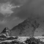With light hitting her side, this female Puma relaxes on a ledge with the mountains that form part of Patagonia's Paine Massif behind her (image by Virginia Wilde)