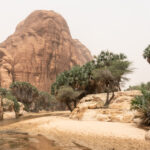 Beautiful Bachekele Oasis (image by Inger Vandyke)
