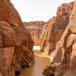 The stunning oasis of Guelta D'Archei (image by Inger Vandyke)